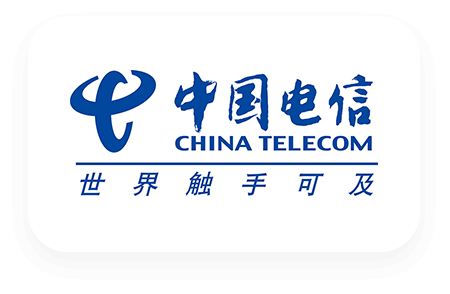 中国电信合作伙伴标识