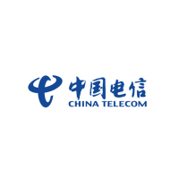 中国电信合作运营能力标识